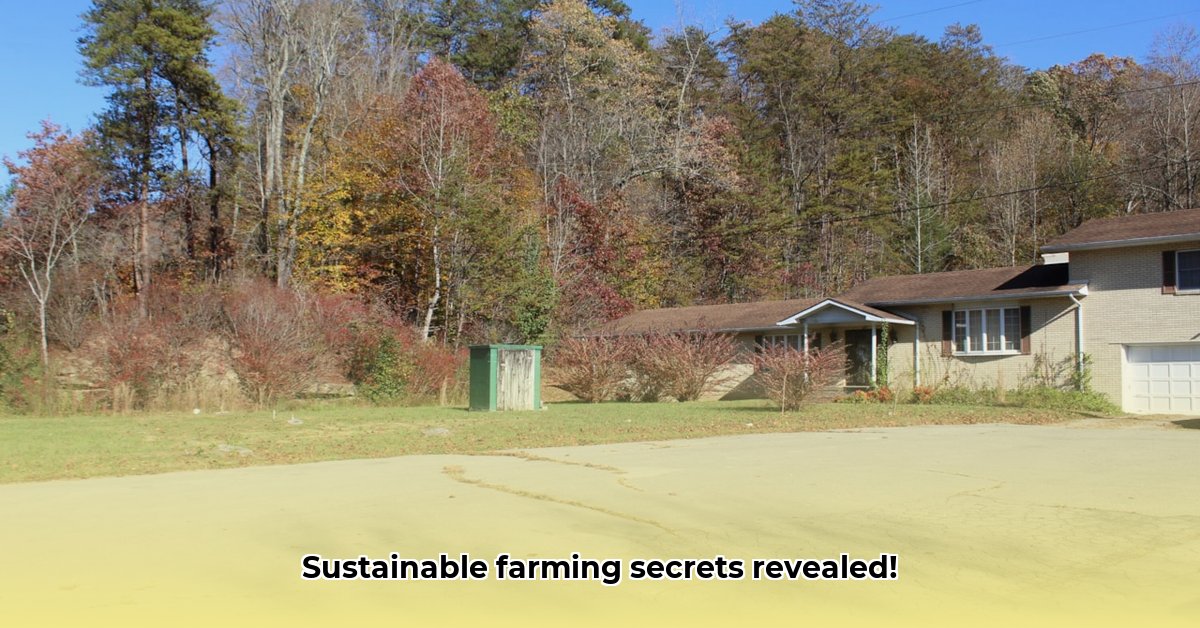 tractor-supply-middlesboro-kentucky